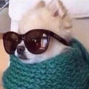 Meet your Posher, Lamarr